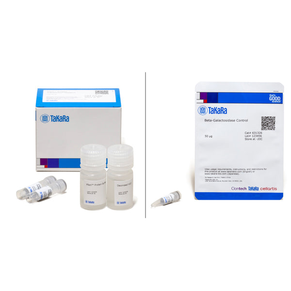 Xfect™ Protein Transfection Reagent 631324 - Gene function - Takara Bio