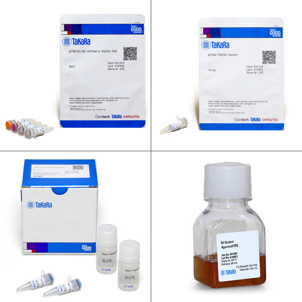 Tet-On® 3G Bidirectional Inducible Expression System (with mCherry) 631338 - Gene function - Takara Bio