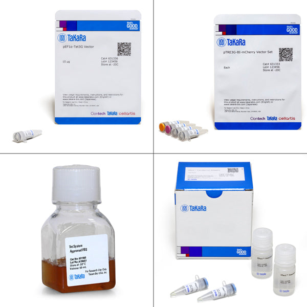 Tet-On® 3G Bidirectional Inducible Expression System (EF1alpha, mCherry) 631341 - Gene function - Takara Bio
