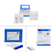 pET Express & Purify Kit—His60 (In-Fusion® Ready) 631428 - Protein research - Takara Bio