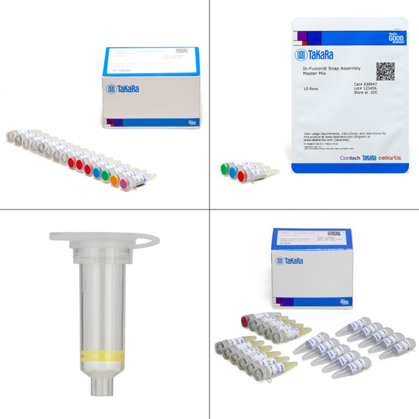 Guide-it™ Indel Identification Kit 631444 - Gene function - Takara Bio