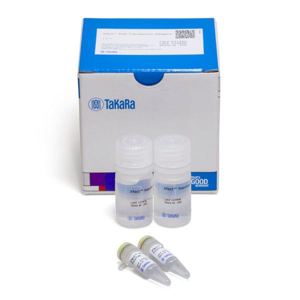 Xfect™ RNA Transfection Reagent 631450 - Gene function - Takara Bio