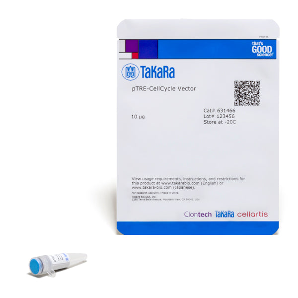 pTRE-CellCycle Vector 631466 - Gene function - Takara Bio