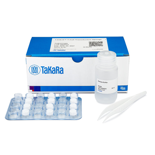Lenti-X™ T-Cell Transduction Sponge 631480 - Gene function - Takara Bio