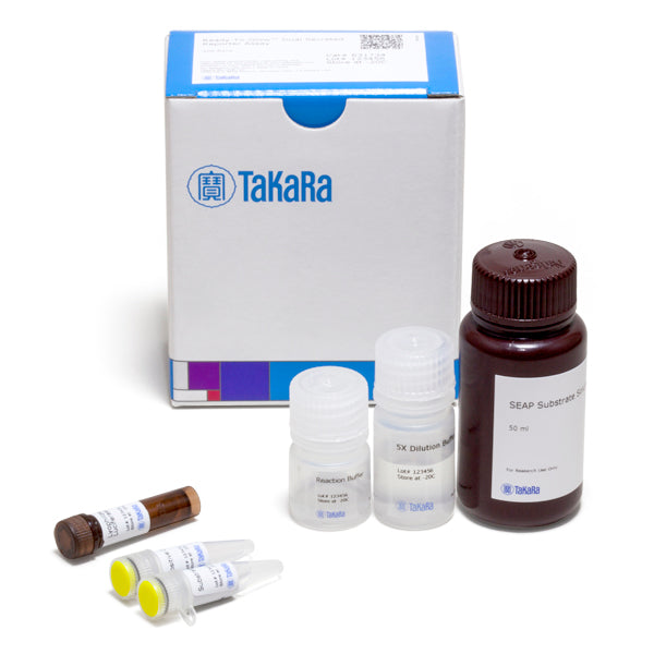 Ready-To-Glow™ Dual Secreted Reporter Assay 631734 - Gene function - Takara Bio