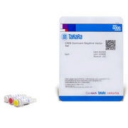 CREB Dominant-Negative Vector Set 631925 - Gene function - Takara Bio