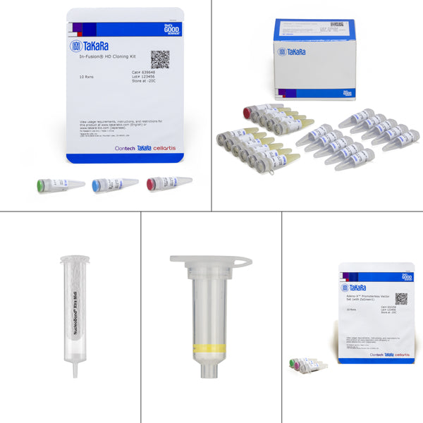 Adeno-X™ Adenoviral System 3 (Universal, Green) 632264 - Gene function - Takara Bio