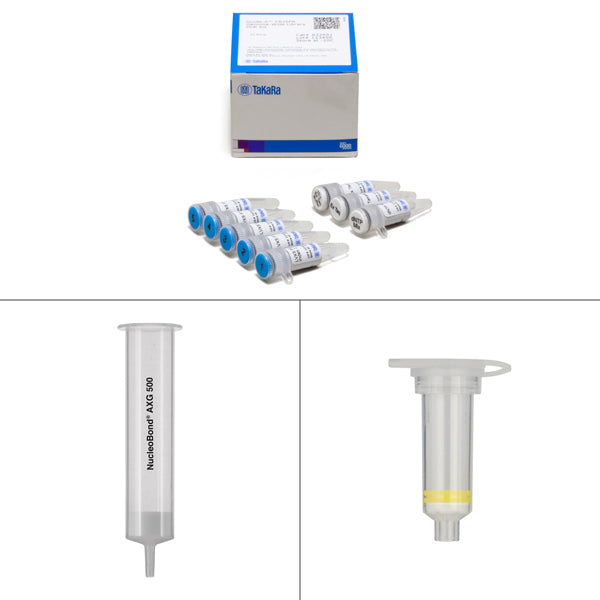 Guide-it™ CRISPR Genome-Wide sgRNA Library NGS Analysis Kit 632647 - Gene function - Takara Bio