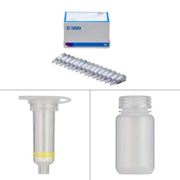 Guide-it™ Long ssDNA Production System v2 632666 - Gene function - Takara Bio