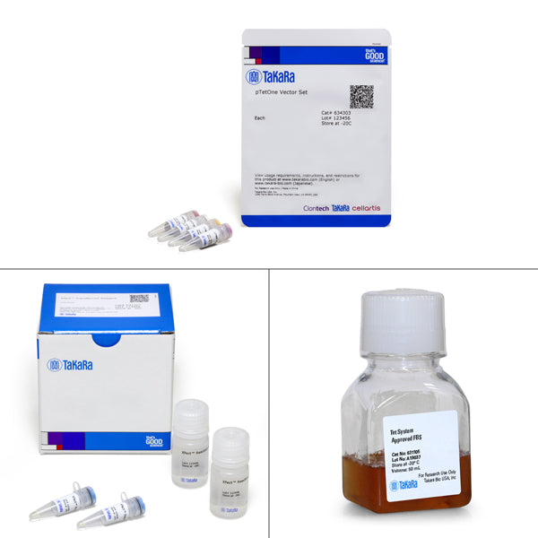 Tet-One™ Inducible Expression System 634301 - Gene function - Takara Bio