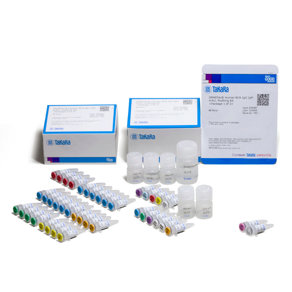 SMARTer® Human BCR IgG IgM H/K/L Profiling Kit 634467 - Next-generation sequencing - Takara Bio