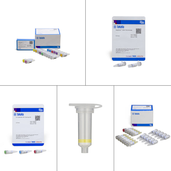 SMARTer® RACE 5’/3’ Kit 634859 - mRNA and cDNA synthesis - Takara Bio