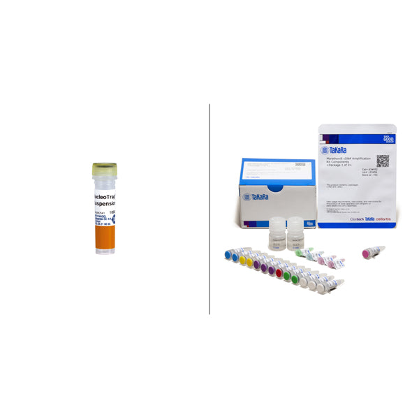 Marathon® cDNA Amplification Kit 634913 - mRNA and cDNA synthesis - Takara Bio