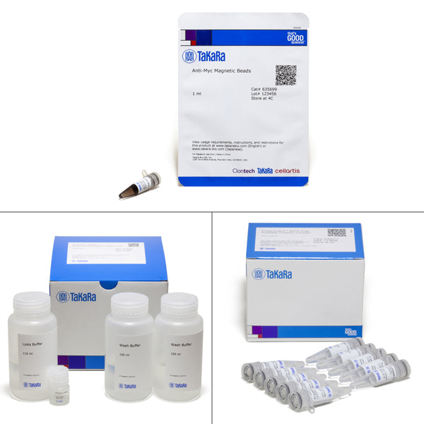 Magnetic Myc Immunoprecipitation Kit 635698 - Protein research - Takara Bio