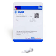 Human Brain, Cerebral Cortex Poly A+ RNA 636164 - mRNA and cDNA synthesis - Takara Bio