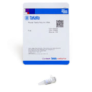 Mouse Testis Poly A+ RNA 636203 - mRNA and cDNA synthesis - Takara Bio