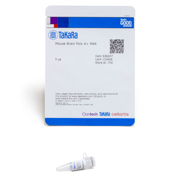 Mouse Brain Poly A+ RNA 636207 - mRNA and cDNA synthesis - Takara Bio
