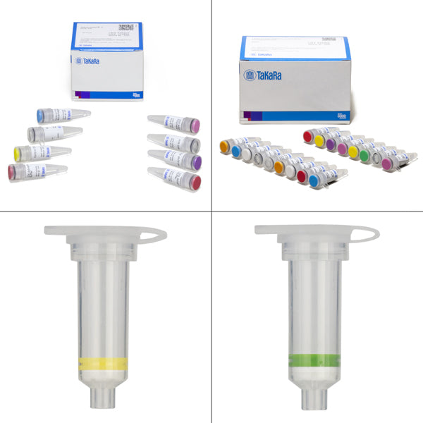 Universal GenomeWalker™ 2.0 636405 - mRNA and cDNA synthesis - Takara Bio