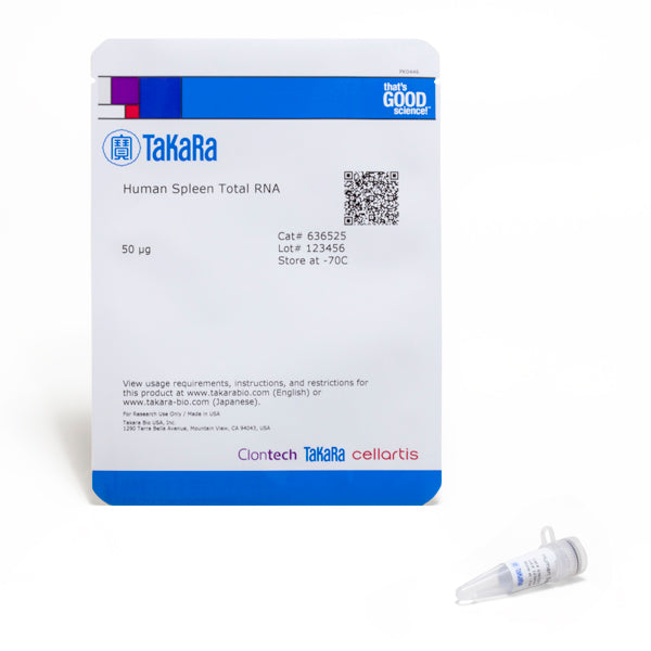 Human Spleen Total RNA 636525 - mRNA and cDNA synthesis - Takara Bio