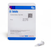 Human Kidney Total RNA 636529 - mRNA and cDNA synthesis - Takara Bio