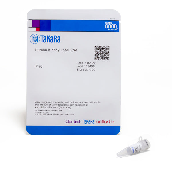 Human Kidney Total RNA 636529 - mRNA and cDNA synthesis - Takara Bio