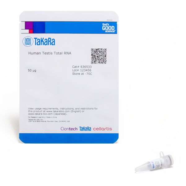 Human Testis Total RNA 636533 - mRNA and cDNA synthesis - Takara Bio