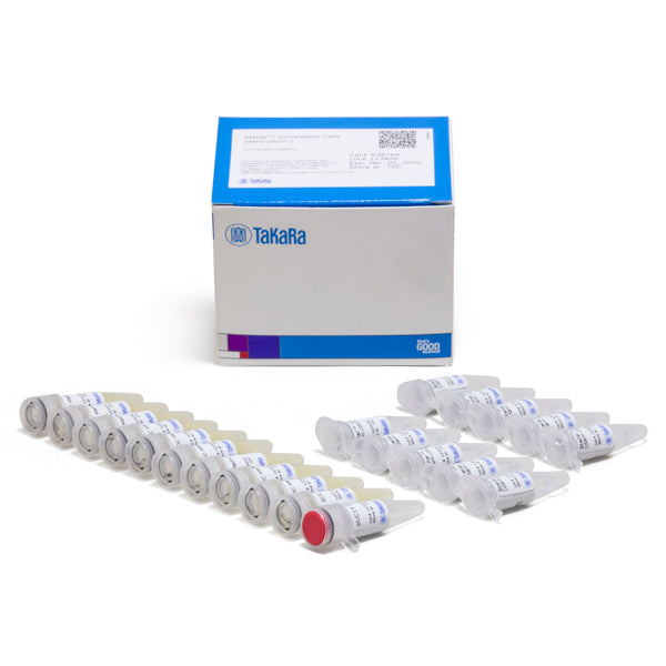 Stellar™ Competent Cells (dam-/dcm-) 636764 - Cloning - Takara Bio