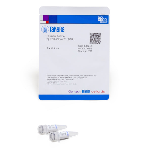 Human Retina QUICK-Clone™ cDNA 637216 - mRNA and cDNA synthesis - Takara Bio