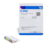 Mir-X™ miRNA First-Strand Synthesis Kit 638313 - Gene function - Takara Bio