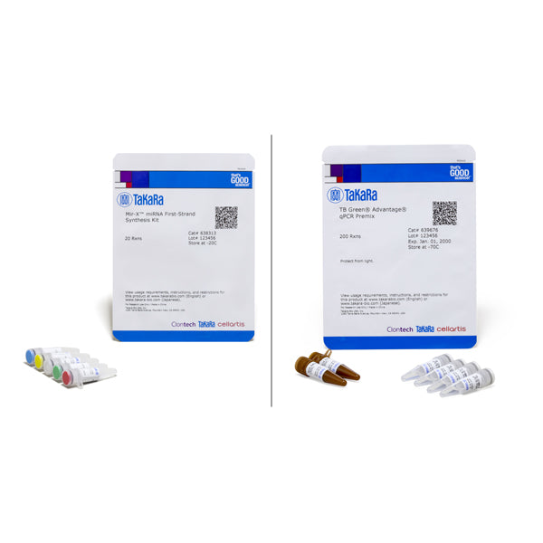 Mir-X™ miRNA qRT-PCR TB Green® Kit 638314 - Gene function - Takara Bio