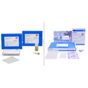 In-Fusion® Snap Assembly EcoDry™ Master Mix with Competent Cells 638953 - Cloning - Takara Bio