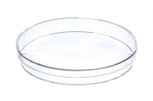 PETRI DISH, PS - Dishes - 145/20 mm / Non-sterile / With Vents, 15 pcs./bag - Greiner Bio-One (639102)