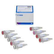 Terra™ Direct PCR Polymerase Mix 639270 - PCR - Takara Bio
