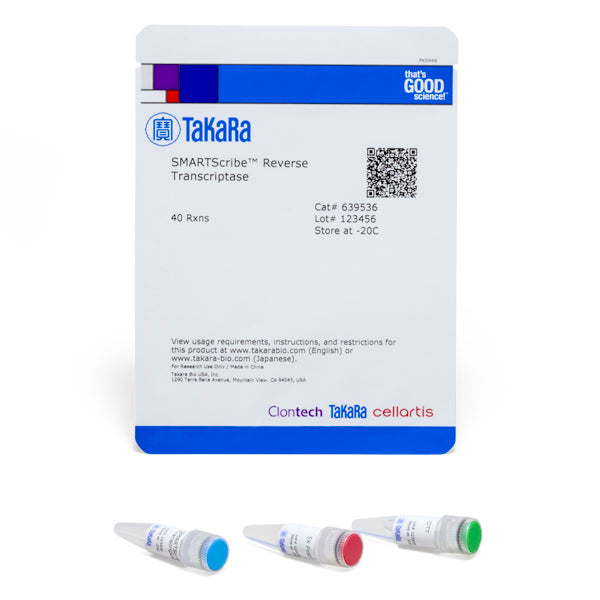 SMARTScribe™ Reverse Transcriptase 639536 - mRNA and cDNA synthesis - Takara Bio