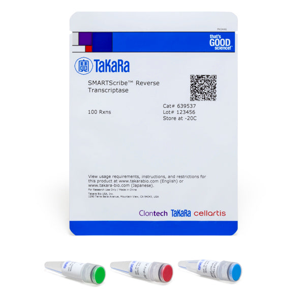 SMARTScribe™ Reverse Transcriptase 639537 - mRNA and cDNA synthesis - Takara Bio
