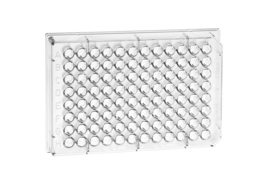 MICROPLATE, 96 WELL, PS, CLEAR - High Binding / Microlon® / V-Bottom - Greiner Bio-One (651061)