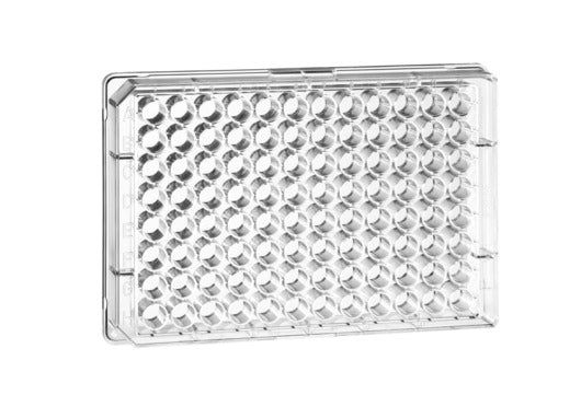 UV-STAR® MICROPLATE, 96 WELL, COC - Standard / Clear - Greiner Bio-One (655801)