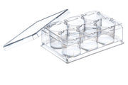 THINCERT PLATE, 6 WELL, PS, LID, STERILE, - Cell Culture Products - Greiner Bio-One (657110)