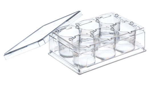 THINCERT PLATE, 6 WELL, PS, LID, STERILE, - Cell Culture Products - Greiner Bio-One (657110)