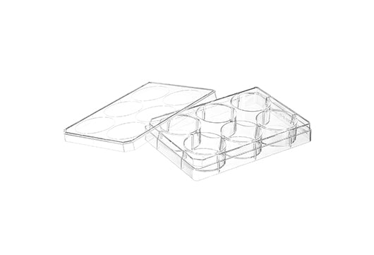 MULTIWELL PLATE FOR SUSPENSION CULTURE, PS, CLEAR, LID WITH CONDENSATION RINGS, STERILE - 6 Well - Greiner Bio-One (657185)