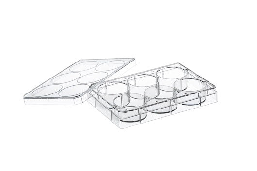 CELL CULTURE MULTIWELL PLATE, PS, CLEAR, CELLCOAT®, POLY-D-LYSINE, LID WITH CONDENSATION RINGS - 6 Well - Greiner Bio-One (657940)