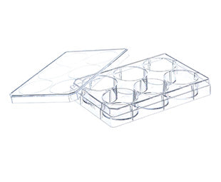 CELL CULTURE MULTIWELL PLATE, PS, CLEAR, ADVANCED TC, LID WITH CONDENSATION RINGS, STERILE - 6 Well - Greiner Bio-One (657960)