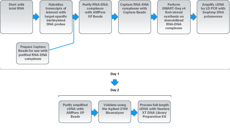 Capture Beads 635039 - Next-generation sequencing - Takara Bio