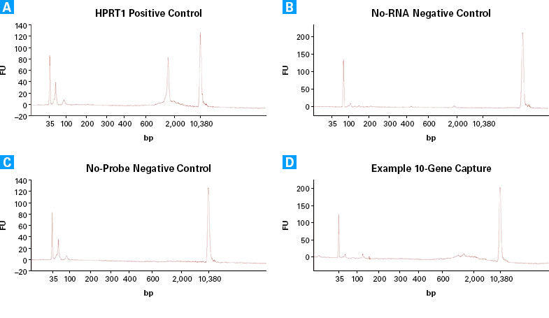 Capture Beads 635039 - Next-generation sequencing - Takara Bio