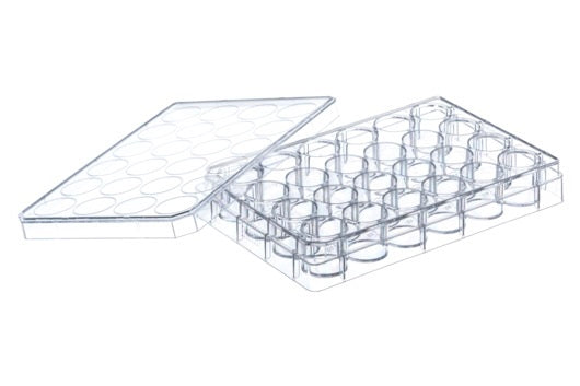 CELL CULTURE MULTIWELL PLATE, PS, CLEAR, CELLCOAT®, POLY-L-LYSINE, LID WITH CONDENSATION RINGS - 24 Well - Greiner Bio-One (662930)