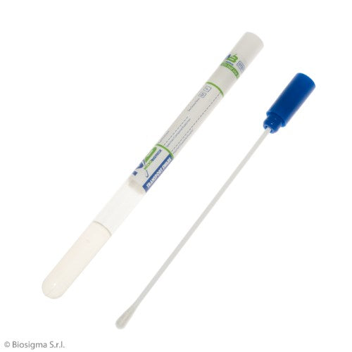Transport Swabs with Medium, Viscose Tip, Sterile (BSM003/M)