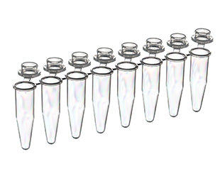 PCR 8-TUBE BREAKABLE STRIPS, 0.2 ML, PP, - Molecular Biology - Greiner Bio-One (673283)