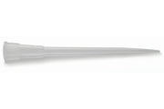 Advantip 10 µL Racked Tips, Low Retention, Extended Length 68007-24 - Benchtop & Handheld Solutions - Hamilton Company