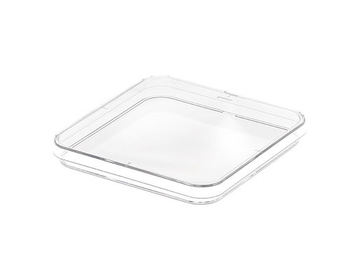 PETRI DISH, PS - Dishes - 120/120/17 mm / Non-sterile / Clear, With Vents, Square, 10 St./Btl. - Greiner Bio-One (688102)