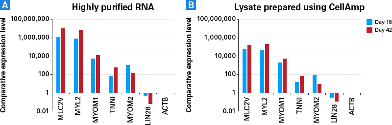 CellAmp™ Direct Lysis and RT set 3737S - Real-time PCR - Takara Bio
